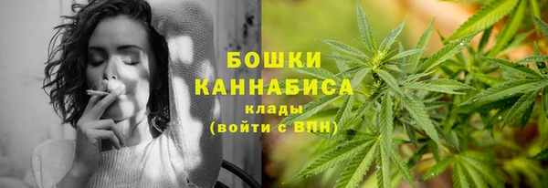 ПСИЛОЦИБИНОВЫЕ ГРИБЫ Аркадак