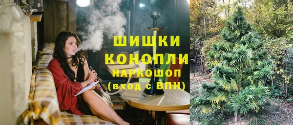 гидра Балахна