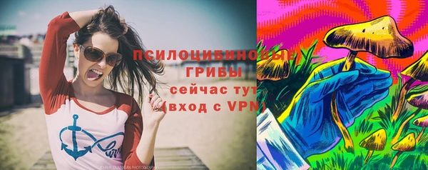 ПСИЛОЦИБИНОВЫЕ ГРИБЫ Аркадак