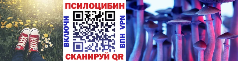 Галлюциногенные грибы MAGIC MUSHROOMS  где купить наркоту  Феодосия 